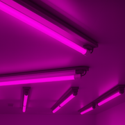 Lampada Led Tubular T8 18w Rosa Bivolt Alut