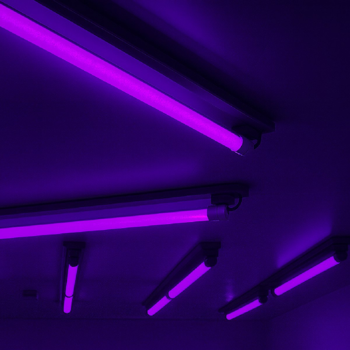 Lâmpada Led Tubular T8 18w Roxo Bivolt Alut